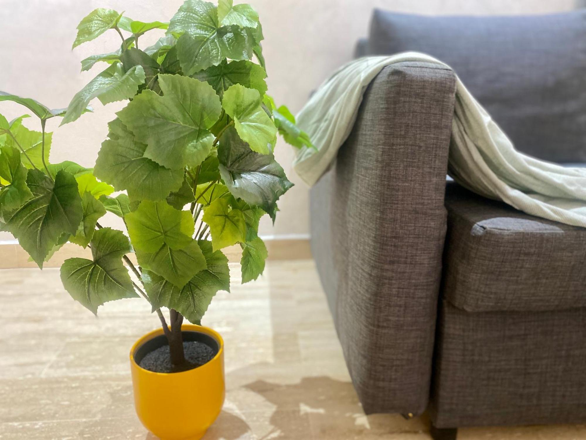 Superbe Appartement Tres Bien Situe Welcome Stay Casablanca Exteriér fotografie