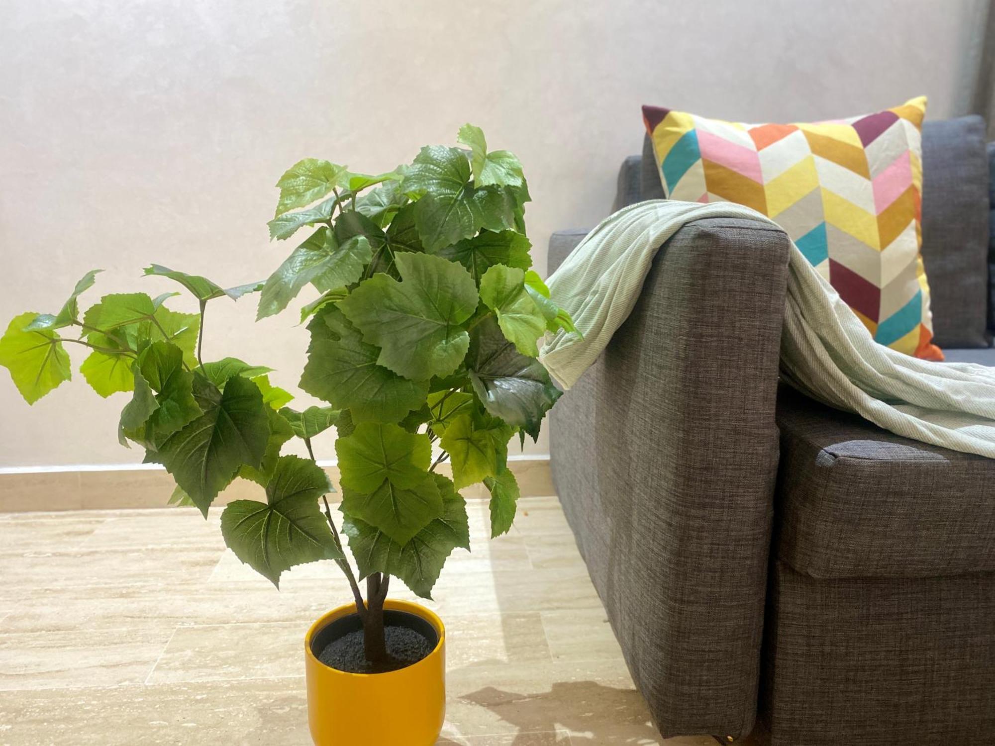Superbe Appartement Tres Bien Situe Welcome Stay Casablanca Exteriér fotografie